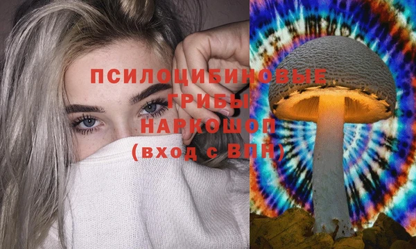 мдма Киреевск
