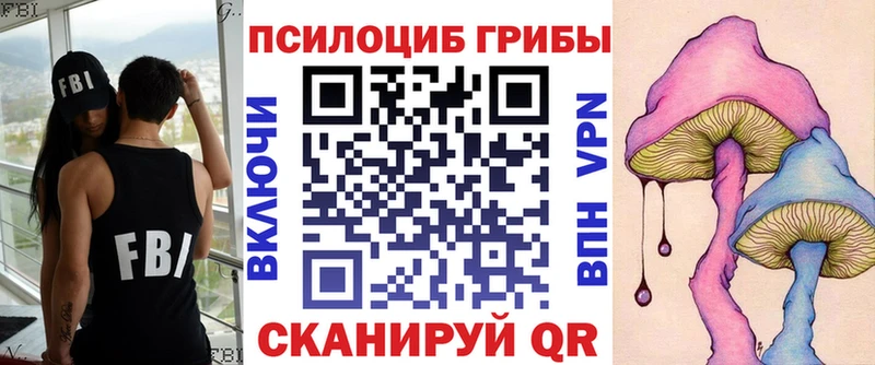 Галлюциногенные грибы ЛСД  Купить  Дмитриев 